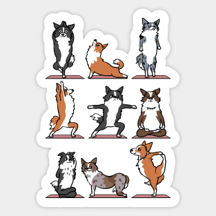 Border Collie Yoga Sticker